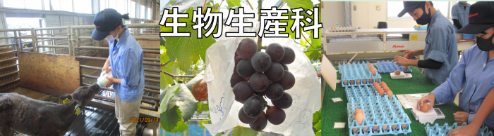 生物生産科