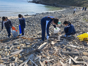 0316HH海岸清掃（ボラ）２